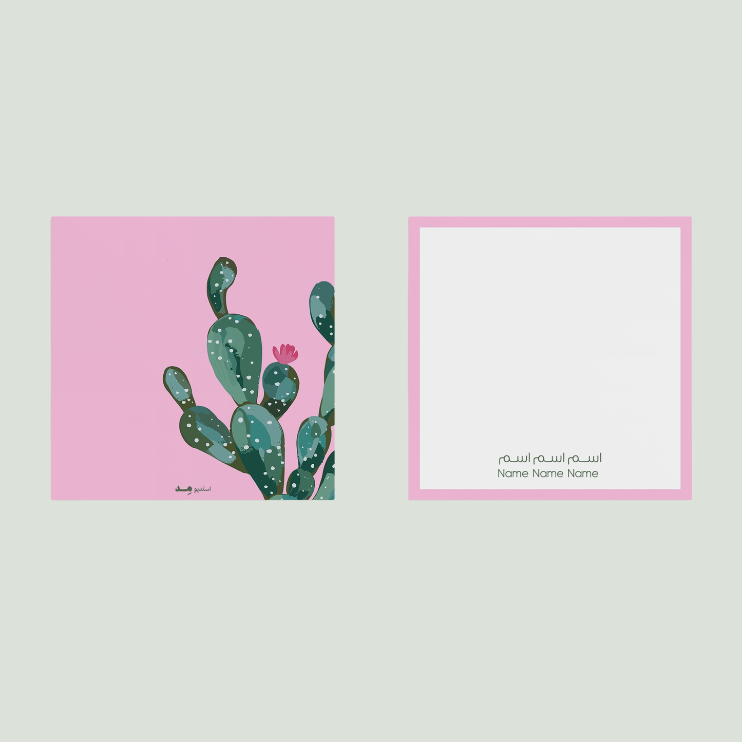 Pink cactus🌵